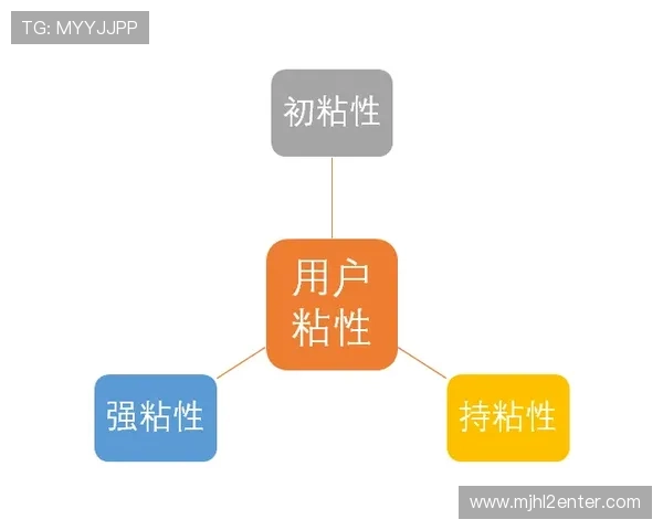 南宫旗下品牌的市场推广策略与用户粘性提升方案探讨