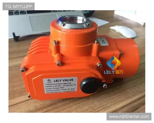 选择适合您的PGS电动执行器提升机械设备性能的实用指南