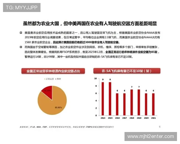 2026年世界杯比利时队徽演变历史及未来发展趋势分析
